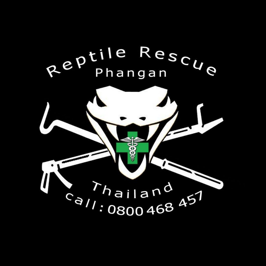 reptile-rescue-phangan