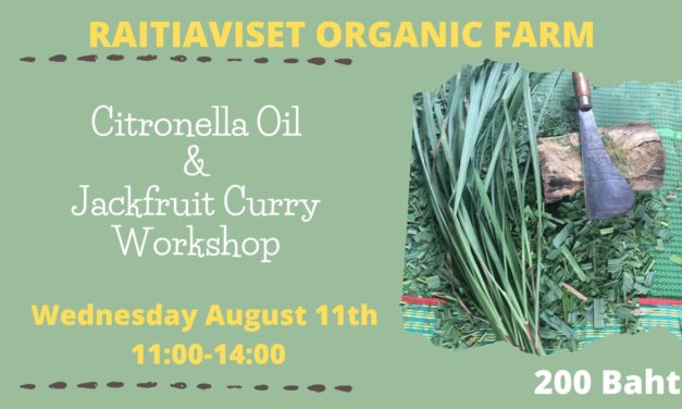 Citronella Oil & Jackfruit Curry Workshop